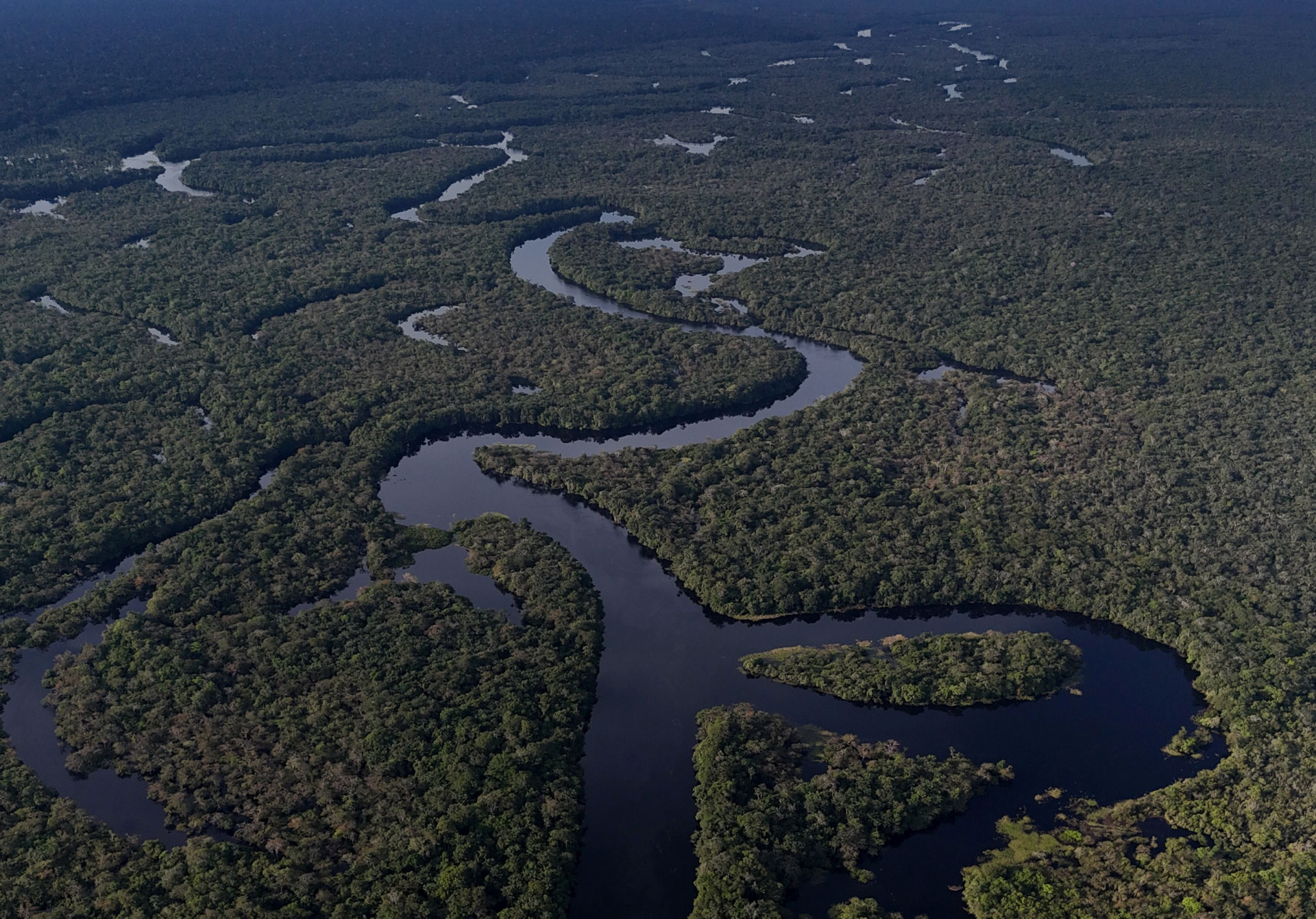 Vista aérea dos rios e da floresta amazônica
