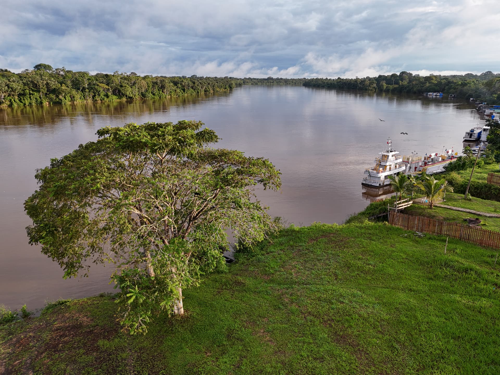 Rio amazônico e floresta vistos da margem